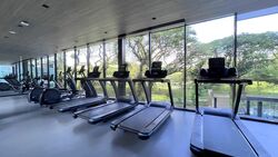 Avenue South Residence (D3), Apartment #484481011